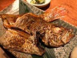 のどぐろ専門 銀座中俣 はなれ