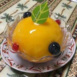 ガトースリール