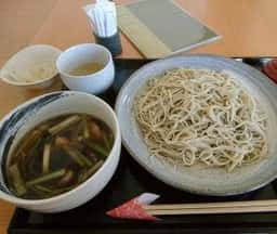 樹庵