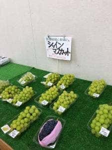 たてしな自由農園原村