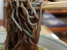藤よしうどん・そば店