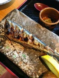 蔵屋敷 そう馬 わから