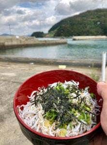 魚与水産