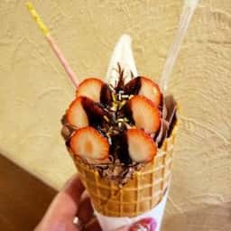 そふと工房プラス 太平本店
