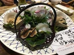 鯛の王様