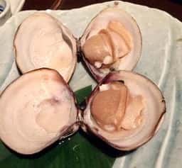 はまぐり屋 錦三大津店