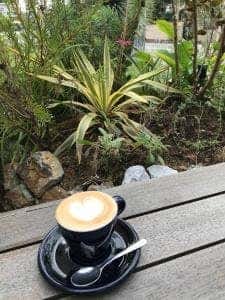 OPEN DOOR COFFEE