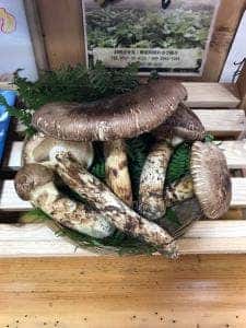 いなか食堂 別所