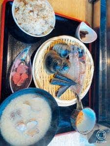舫い船