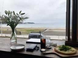 Ocean Harvest Cocomo