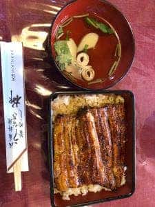 うなぎ柳