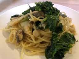 スターガーデン