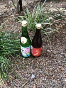 酒世羅
