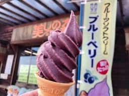 美しの森 駐車場 売店