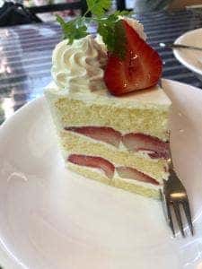 リビドー 鳥取店