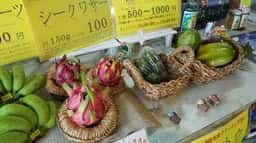 川平マエタケ農園