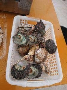 焼カキの伸栄丸 佐々木