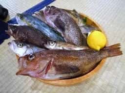 秋田長屋酒場 秋田駅前店