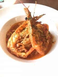 ZUCCOTTO