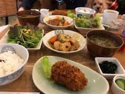 ドッグカフェ プティシアン