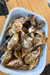 箕島カキ直売所