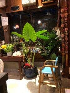 赤いとんがらし 富津店