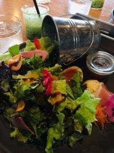 Cafe and restaurant HUTTE