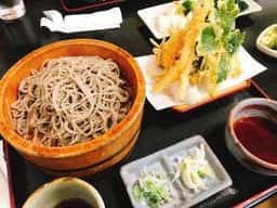 樹庭夢