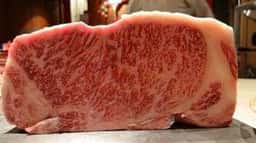 すき焼き 牛しゃぶ 松重 GINZA SIX