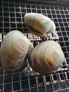 とれとれ海鮮バーベキュー