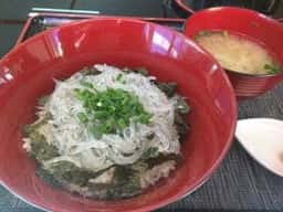 竹造
