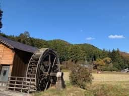 木もれびの里 箏路