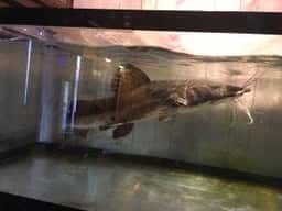 インディースアートクラブアンドギャラリー