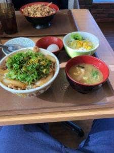すき家 1国緑区境松店