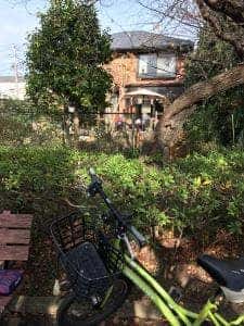 Cafe 開