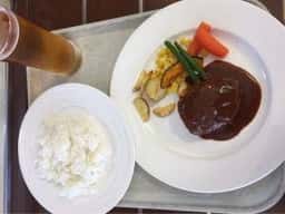 アニマルキングダム