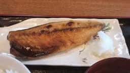 酒膳菜々