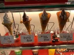 Curume イオンモール福岡伊都店