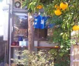 勝藤 福生亀焼き