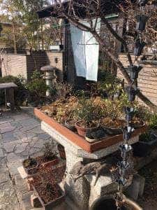 十割そば 紅葉亭