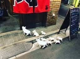 ホルモン焼 善