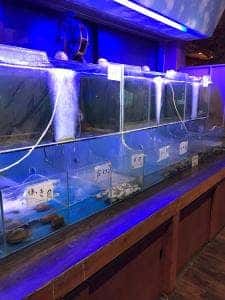 本格蒸し酒場 魚い魚い 川崎駅仲見世通り店