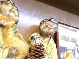 どたぬき