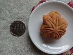 広島たま屋 もみじ饅頭