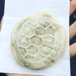 亀焼き 海神亀