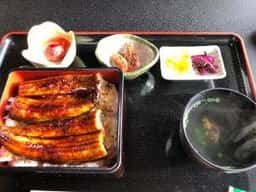 魚波