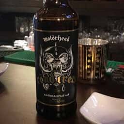 Bar Sprout
