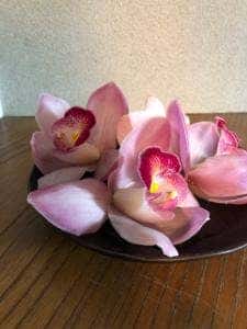 照月