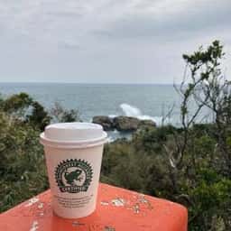 RAINFOREST CAFE 三ツ和荘