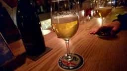 bar nido